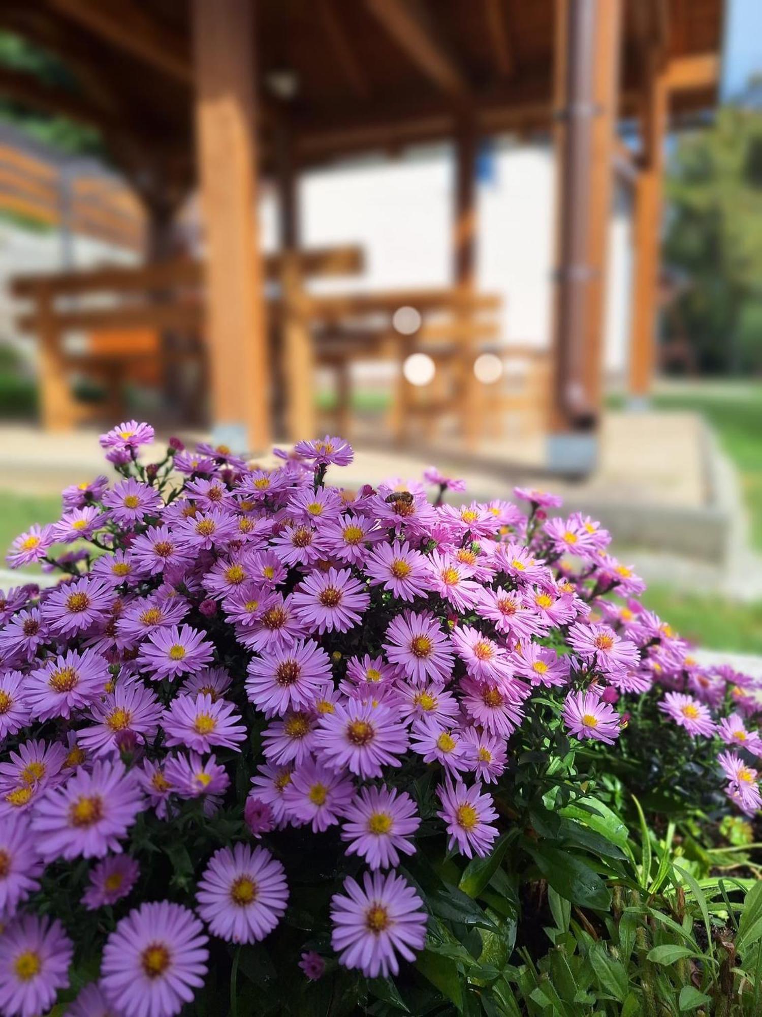 Burg Nad Banskou Stiavnicou Guest House ชเตียฟนิซเก บาเน ภายนอก รูปภาพ